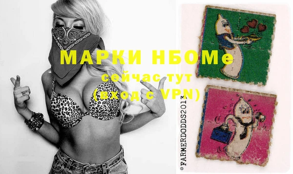 МДПВ Абаза
