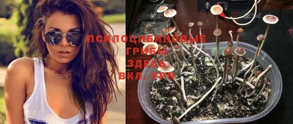 МДПВ Абаза