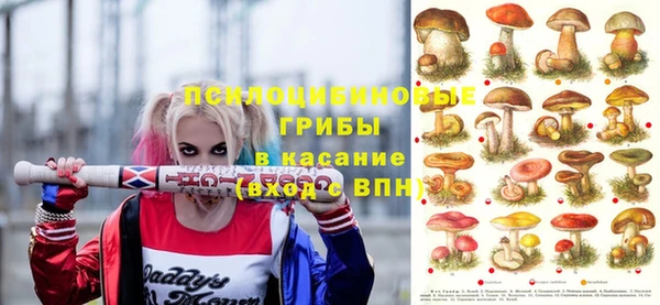 МДПВ Абаза