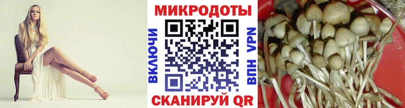 Галлюциногенные грибы ЛСД  закладка  МЕГА ONION  Новопавловск 